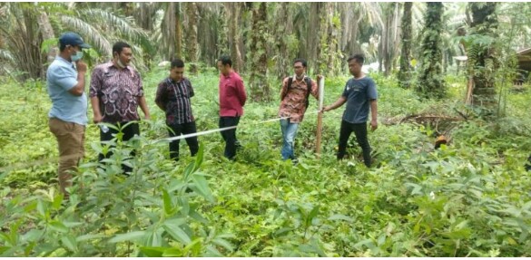 PEMKAB PALAS SURVEY LOKASI UNTUK BANGUN KANTOR BUPATIÂ 