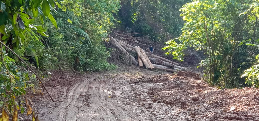 Pembukaan Lahan di Sianggunan, DPRD Palas Diminta Segera Panggil CV. Mutiara Batang Toru