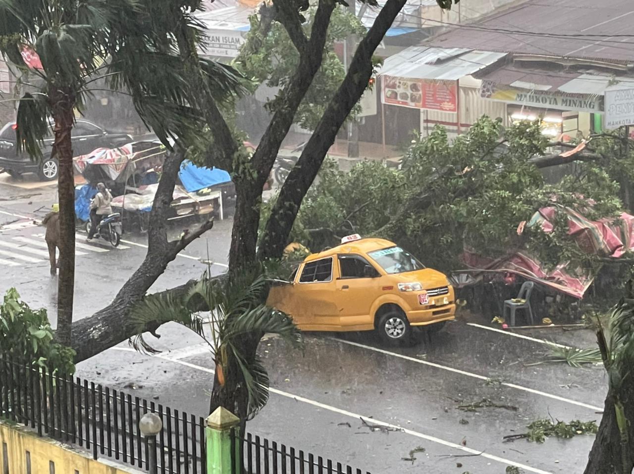 Pohon Tumbang di Depan RS Adam Malik Makan Korban, 2 Pegawai RS Kemenkes Dikabarkan Meninggal Dunia
