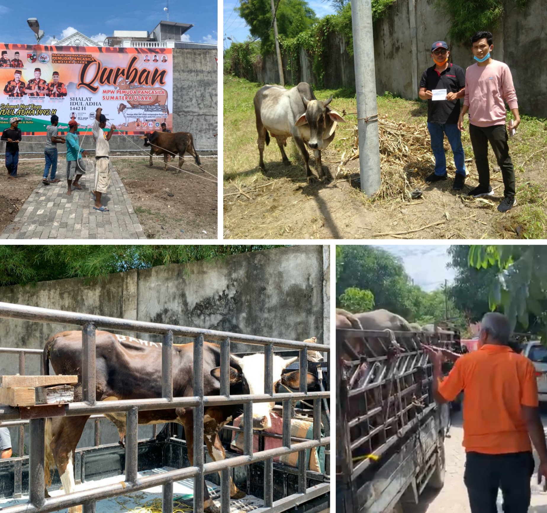 MPW PP Sumut Sembelih 18 Hewan Kurban, Kodrat Shah Sumbang 2 Ekor Sapi, Ini Namanya para Pengkurban