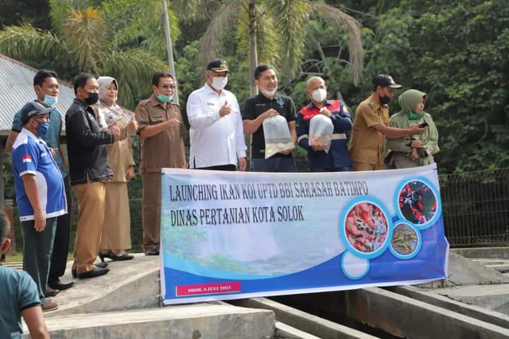 Wako Solok Launching Ikan KOI
