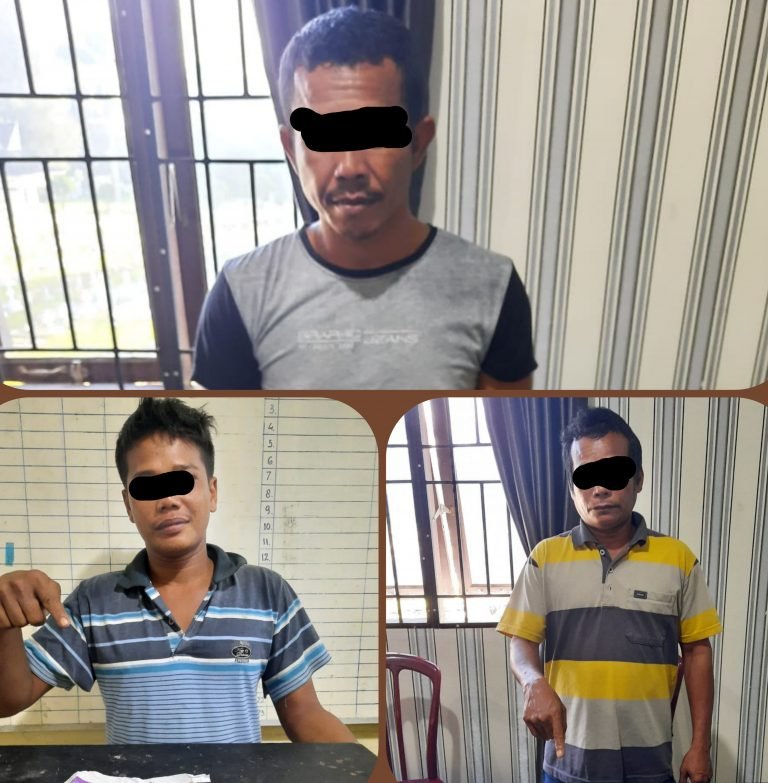 3 Pelaku Narkotika Jenis Ganja Digrebek Polisi di daerah kec Tigabinanga
