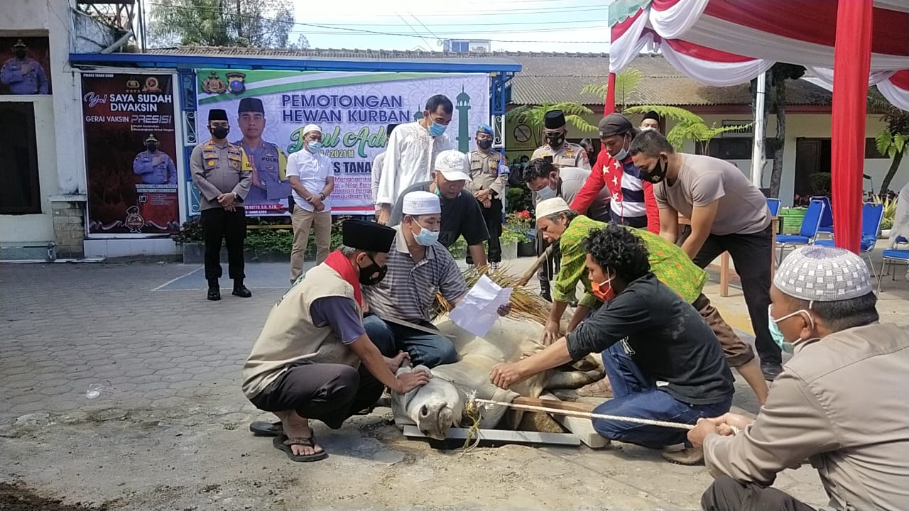 Kapolres Tanah Karo AKBP Yustinus Setyo SH SIK Qurban di halaman  Polres