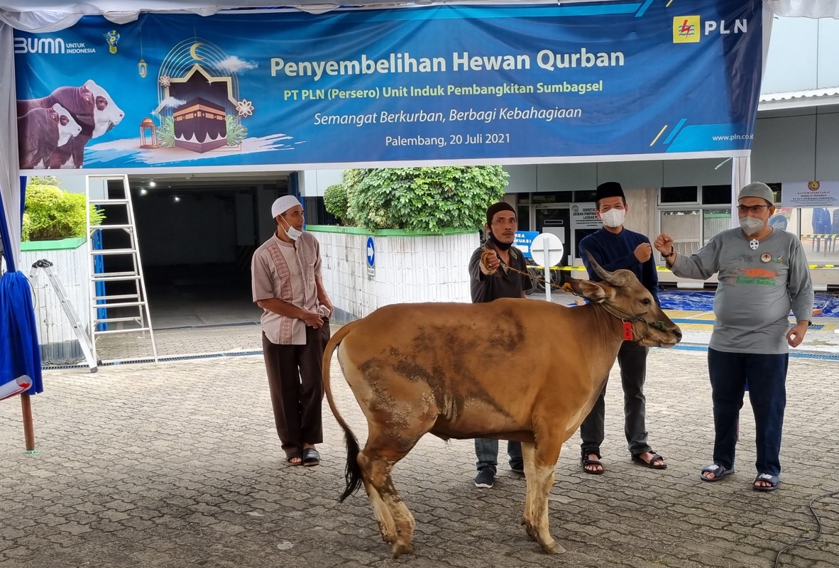 Sambut Idul Adha 1442 H, PLN Sumbangkan 2.977 Hewan Kurban