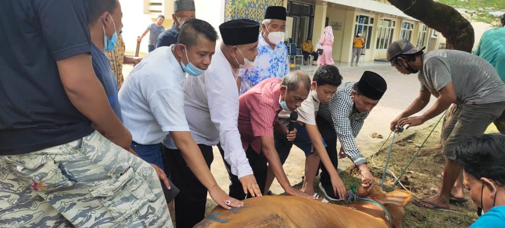 Ketua PWI Sumut Bersama Pengurus Saksikan Penyembelihan 9 Hewan Kurban