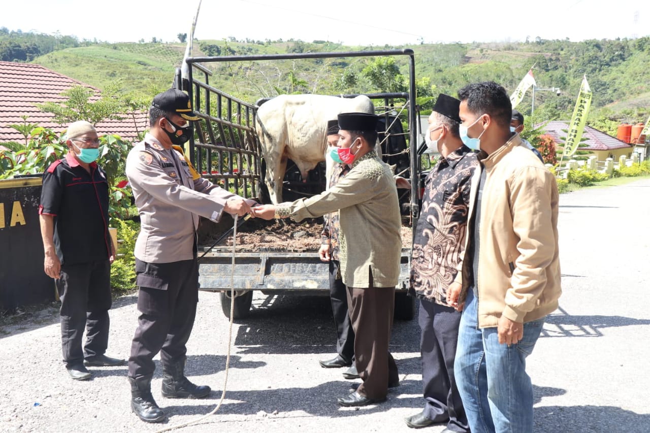 Berkah Hari Raya Idul Adha, Kapolres Pakpak Bharat Salurkan Hewan Qurban Kapolda Sumut, Kepada Tokoh Agama