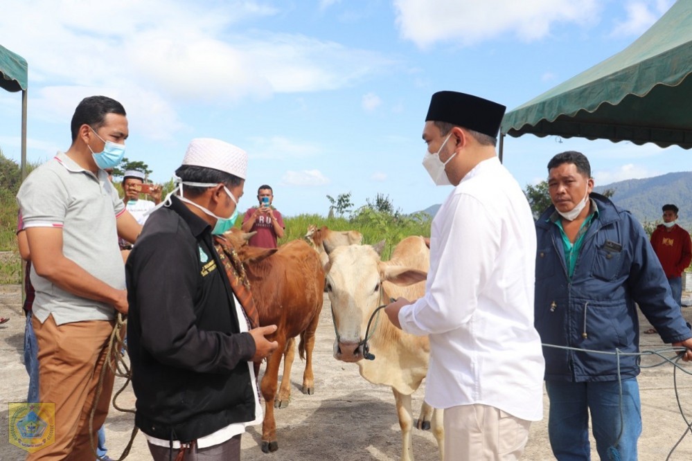 PerayaanÂ  Idul Adha 1442 H,Â  Bupati Pakpak Bharat Serahkan 3 Ekor Sapi