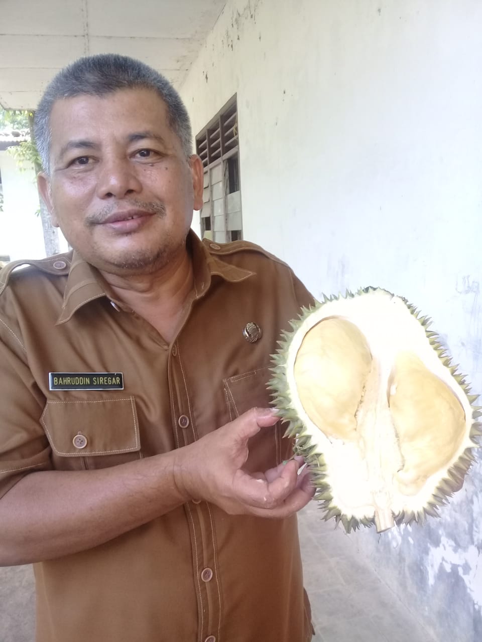 Sumut tingkatkan produksi bawang putih