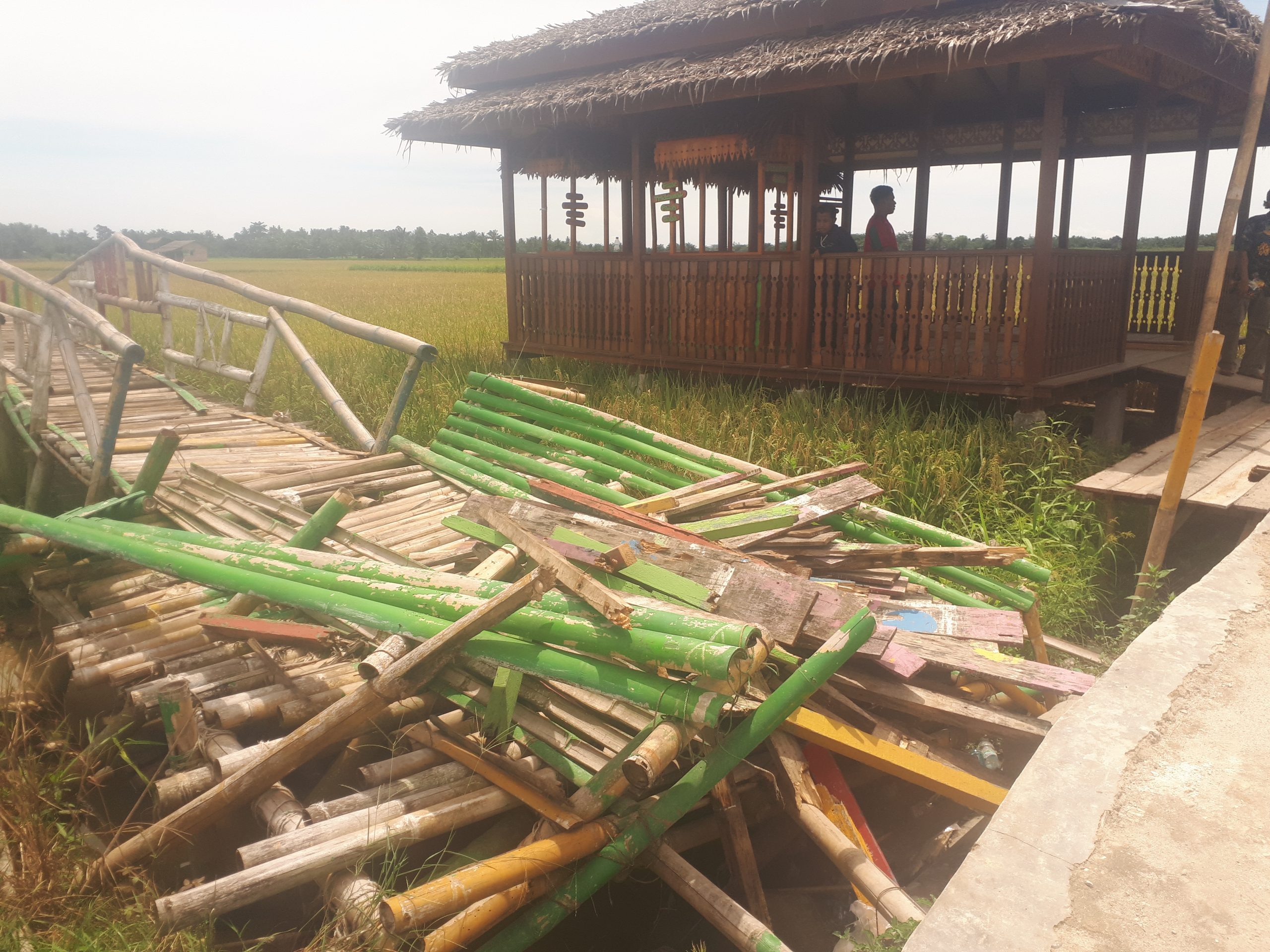 Kades Denai Lama Parnu Diduga Telantarkan Desa Wisata Sawah Paloh Naga