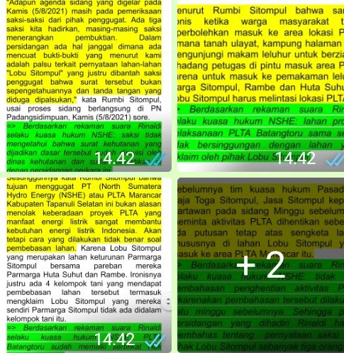 Ini Pernyataan Resmi Kuasa Hukum NSHE Rinaldi, S.H Mengenai Persidangan Perkara Perdata Lobu Sitompul