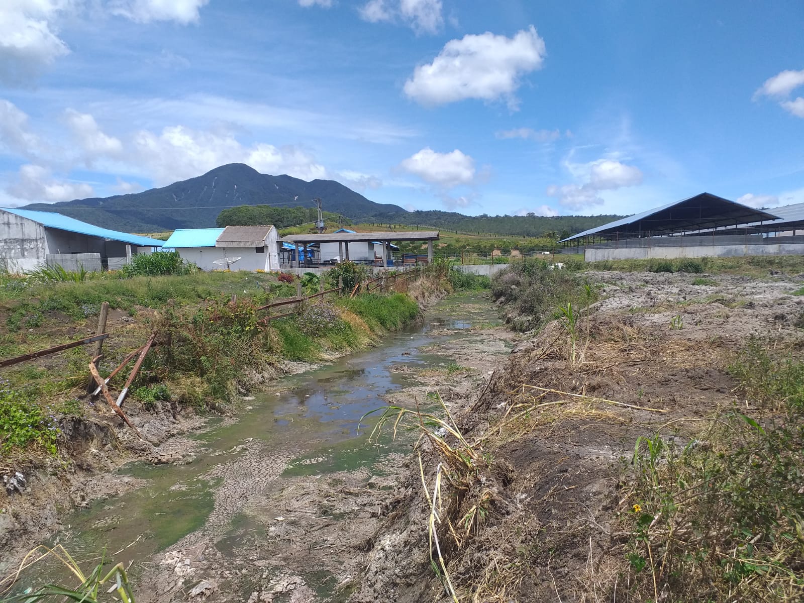 PT Mahakarta Resahkan PetaniÂ  TerindikasiÂ  Bawa Penyakit,Warga SiapkanÂ  Aksi Penutupan