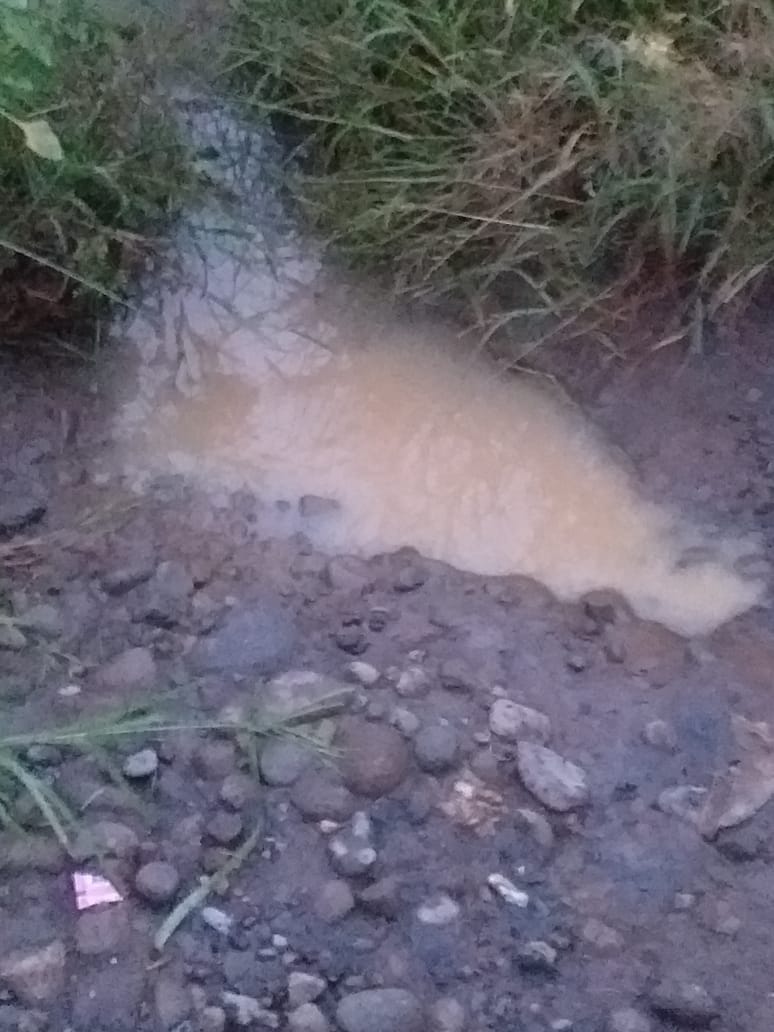 PT PUAS Pabrik Sarang Telur Tak Punya IPAL, Diduga Buang Limbah ke Sungai