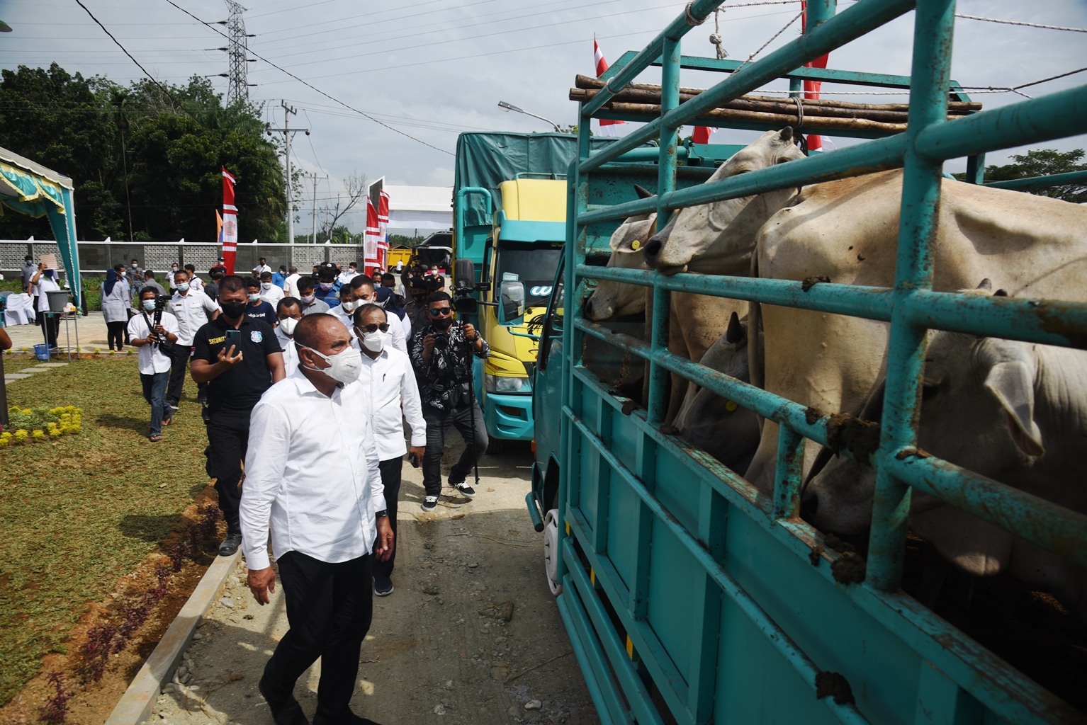 Dorong Pengembangan Peternakan, Gubernur  Edy Rahmayadi Serahkan Bantuan kepada 18 Kelompok Tani