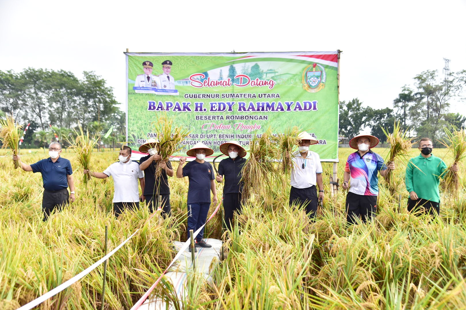Kembangkan Benih Padi,  Gubernur Edy Rahmayadi Berharap  Bisa Penuhi Kebutuhan Sumut