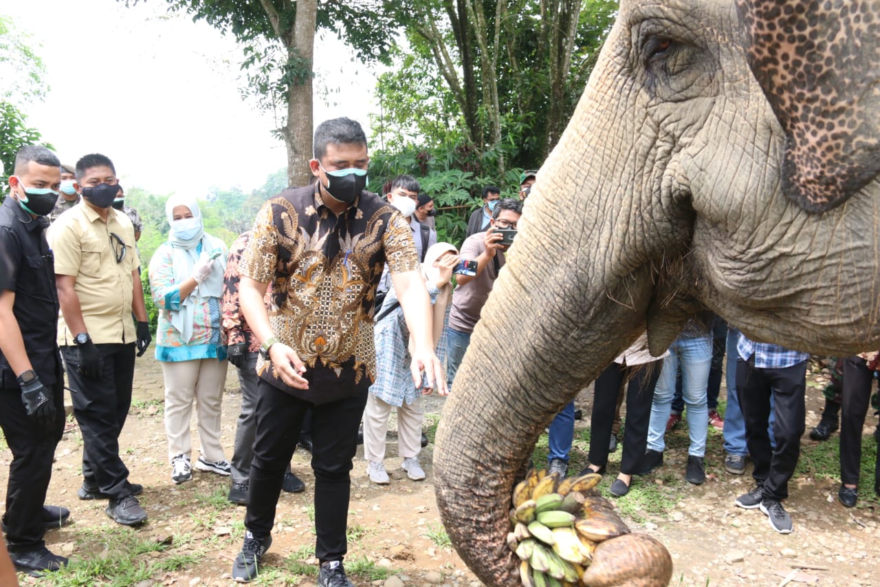 Wali Kota Medan Sampaikan Terimakasih Kepada PT. Musim Mas, Peduli Satwa di Kebun Binatang Medan