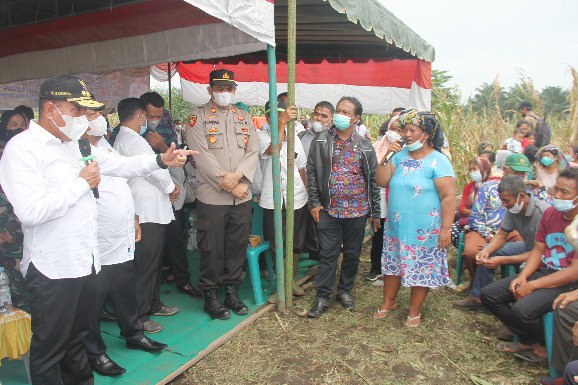 Edy Rahmayadi Ingin Terus Pacu  Produksi Jagung Sumut