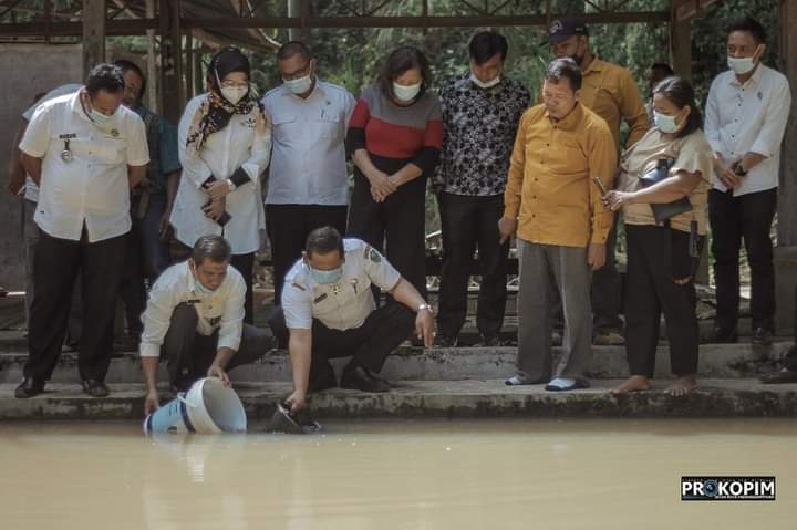 Walikota Padangsidimpuan Irsan Efendi Nasution tabur bibit ikan lele di Kelurahan Batunadua Jae