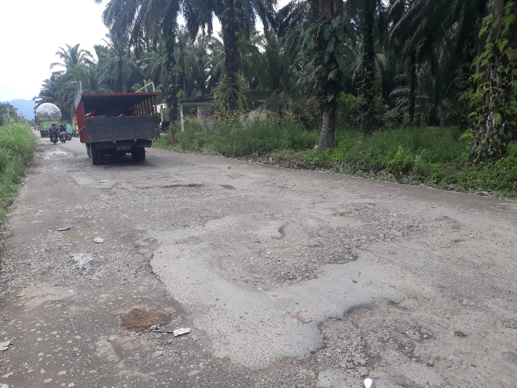 Jalan Provinsi Sumut di Palas Butuh Perhatian Gubernur Edy Rahmayadi