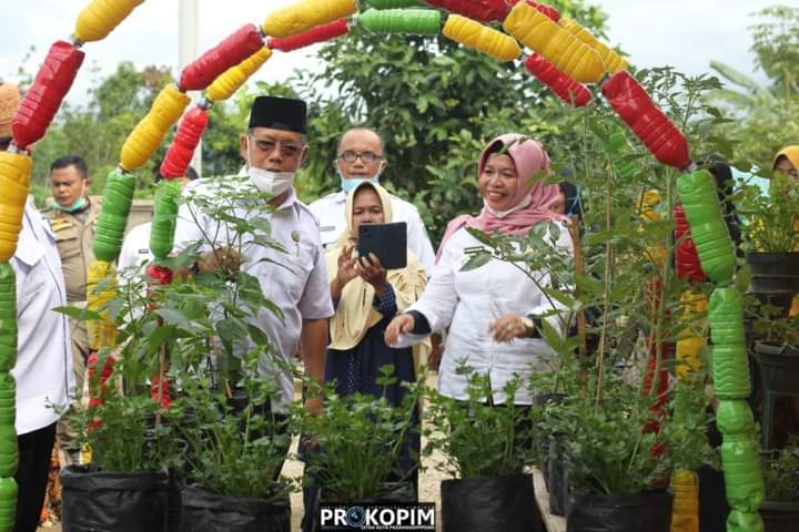 Arwin Siregar Panen Perdana Aneka Sayur dan Buah
