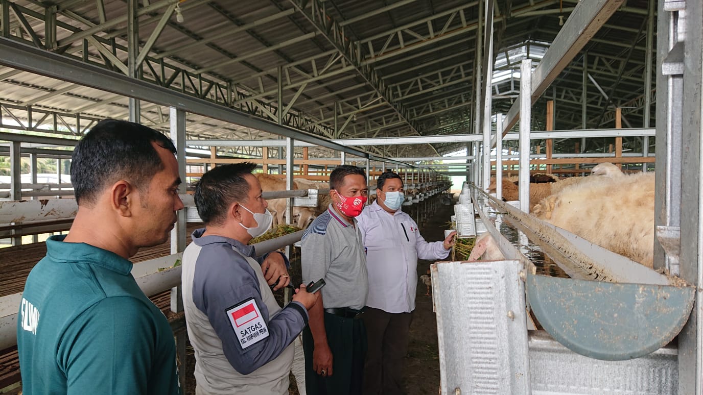 Camat Hamparan Perak Apresiasi Sentra Ternak DD Waspada