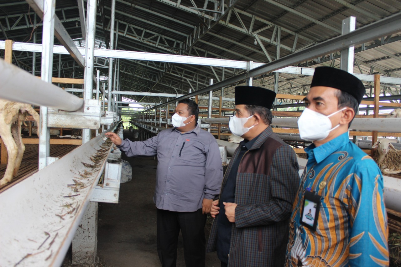 Kakanwil Kemenagsu Apresiasi Sentra Ternak Dompet Dhuafa Waspada