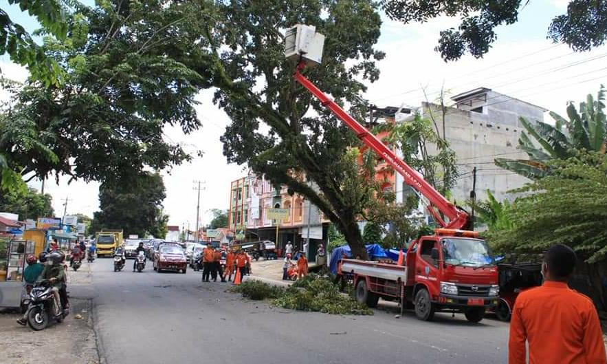 Cepat Tanggap, BPBD Labuhanbatu dan Dishub Potong Pohon Diangggap Membahayakan MasyarakatÂ 