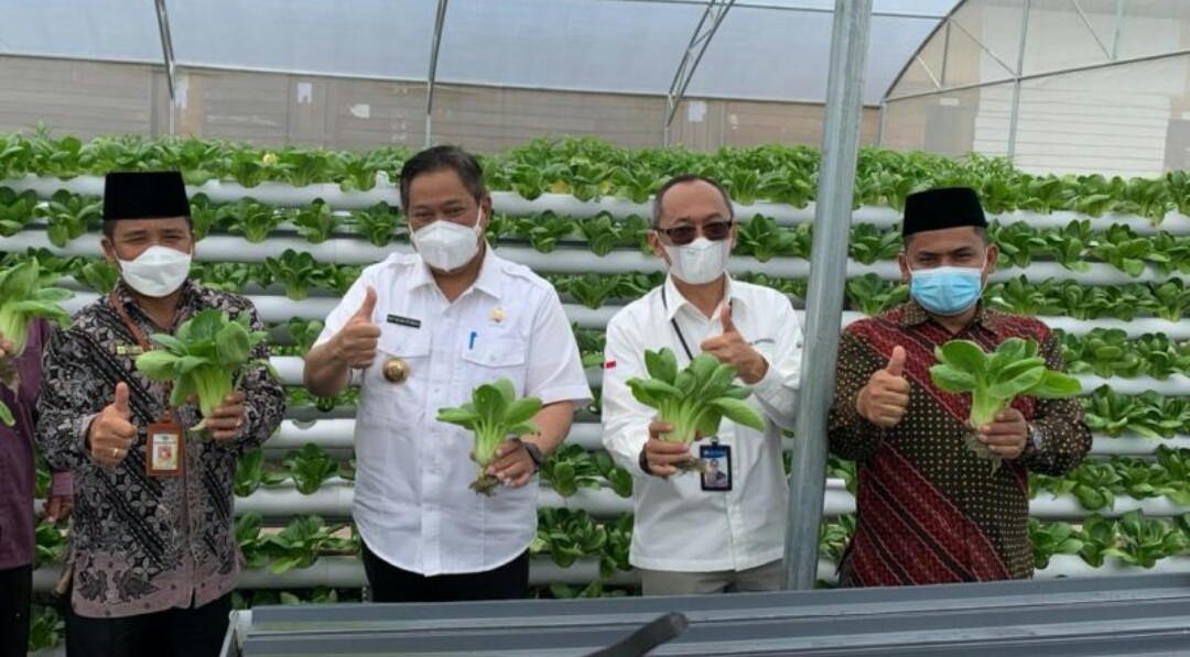 KPw Bank Indonesia Sumut Bantu Pesantren Dairi Kembangkan Tanaman Hortikultura