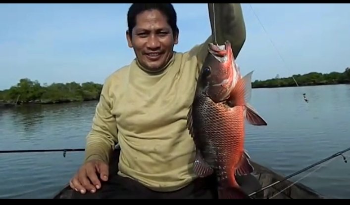 Lokasi Kawasan Hutan Mangrove KTH Maju Bersama Lubuk Nya Ikan Kakap Pancing Mania