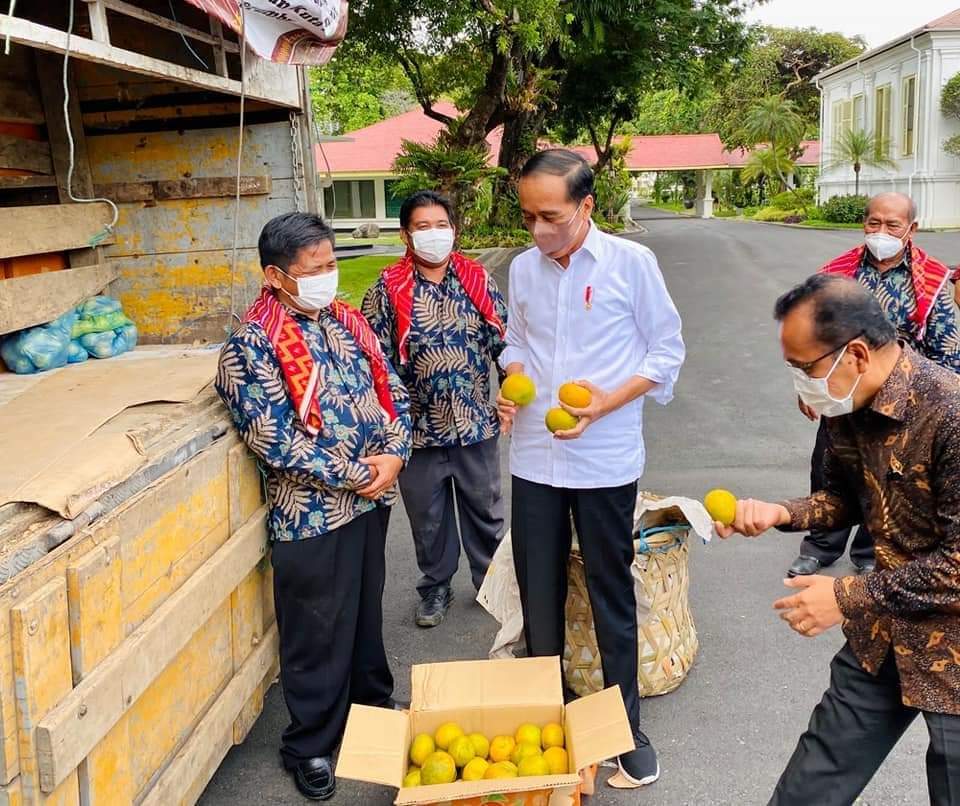 Presiden Jokowi dapat Jeruk 3 Ton Dari Karo