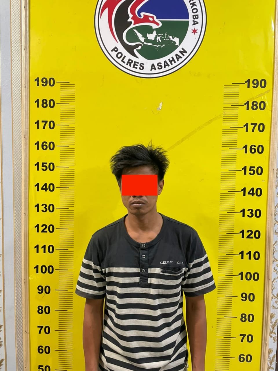 Satres Narkoba Polres Asahan Amankan Pengedar Sabu dari Perkebunan Sei Balai Kecamatan Meranti