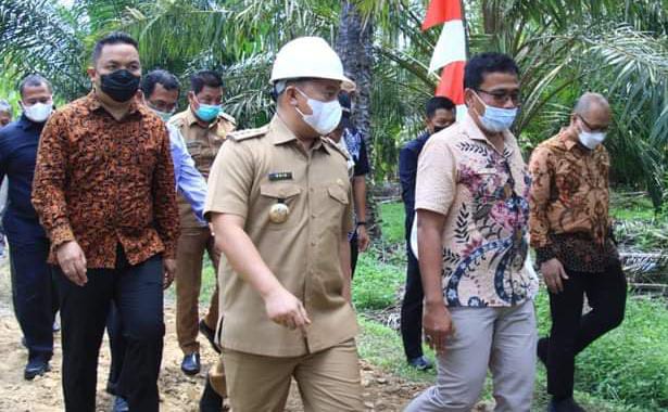 Program PSR di Labuhanbatu Berhasil, Bupati Saksikan Panen Perdananya