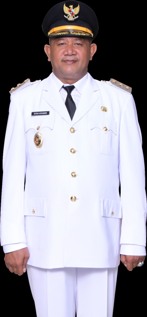 Syah Afandin SH resmi menjabat sebagai Pelaksana Tugas (Plt) Bupati Langkat.