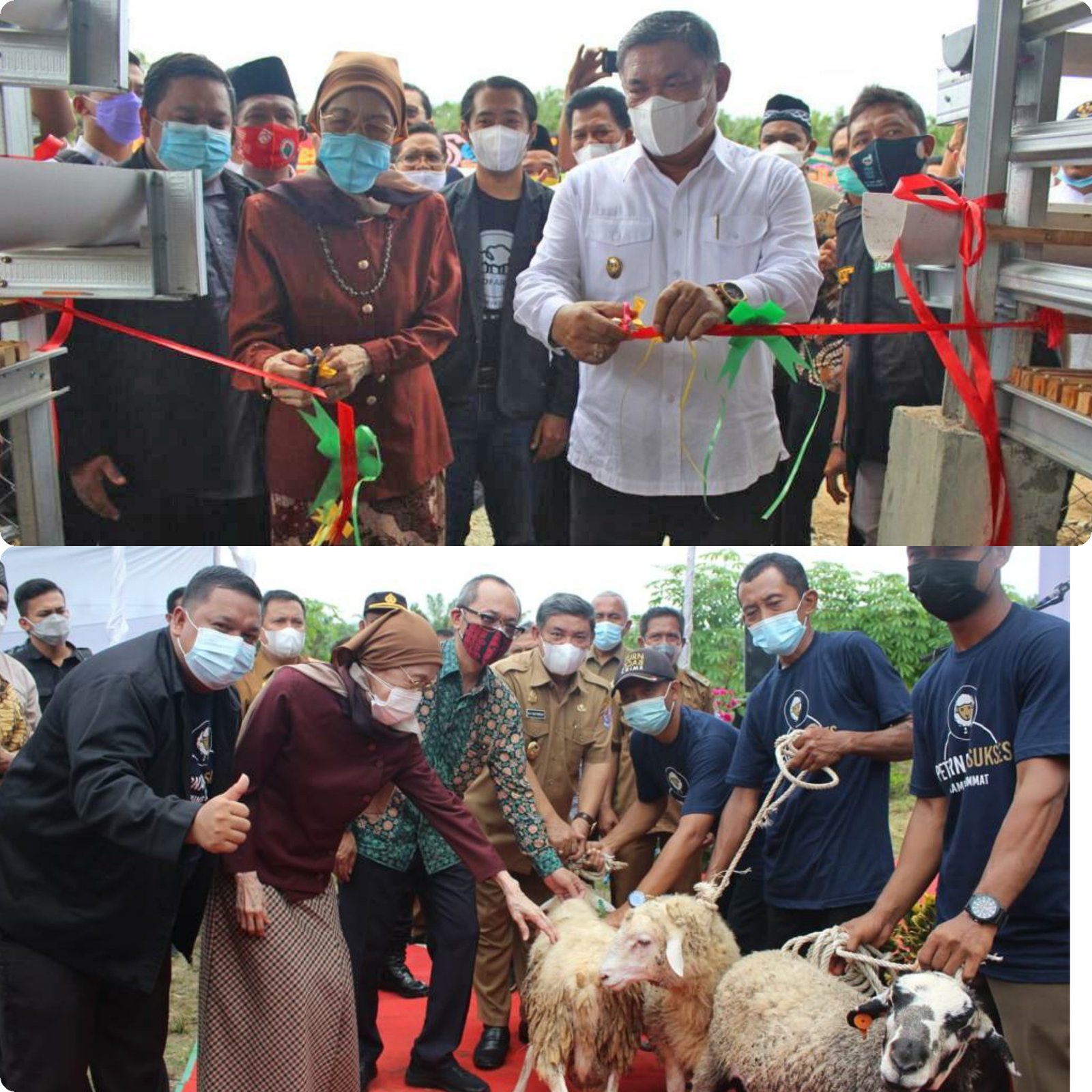 Hingga Tahun 2021, Dompet Dhuafa Waspada Telah Salurkan 4,5 Miliar dari Ziswaf