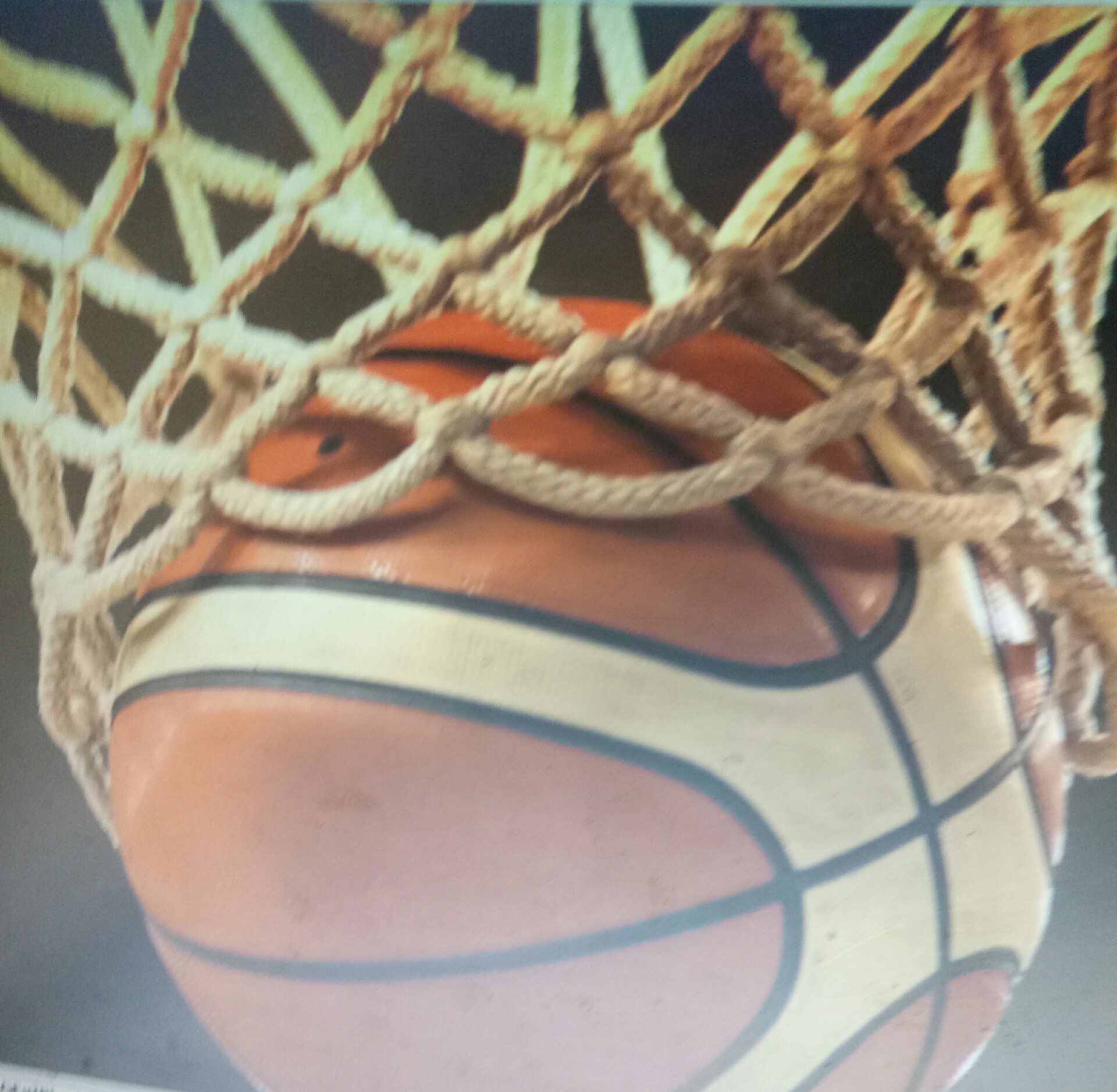 Jalani Hidup Terbaikmu dengan Berolahraga, Greenfields Sponsori IBL 2022