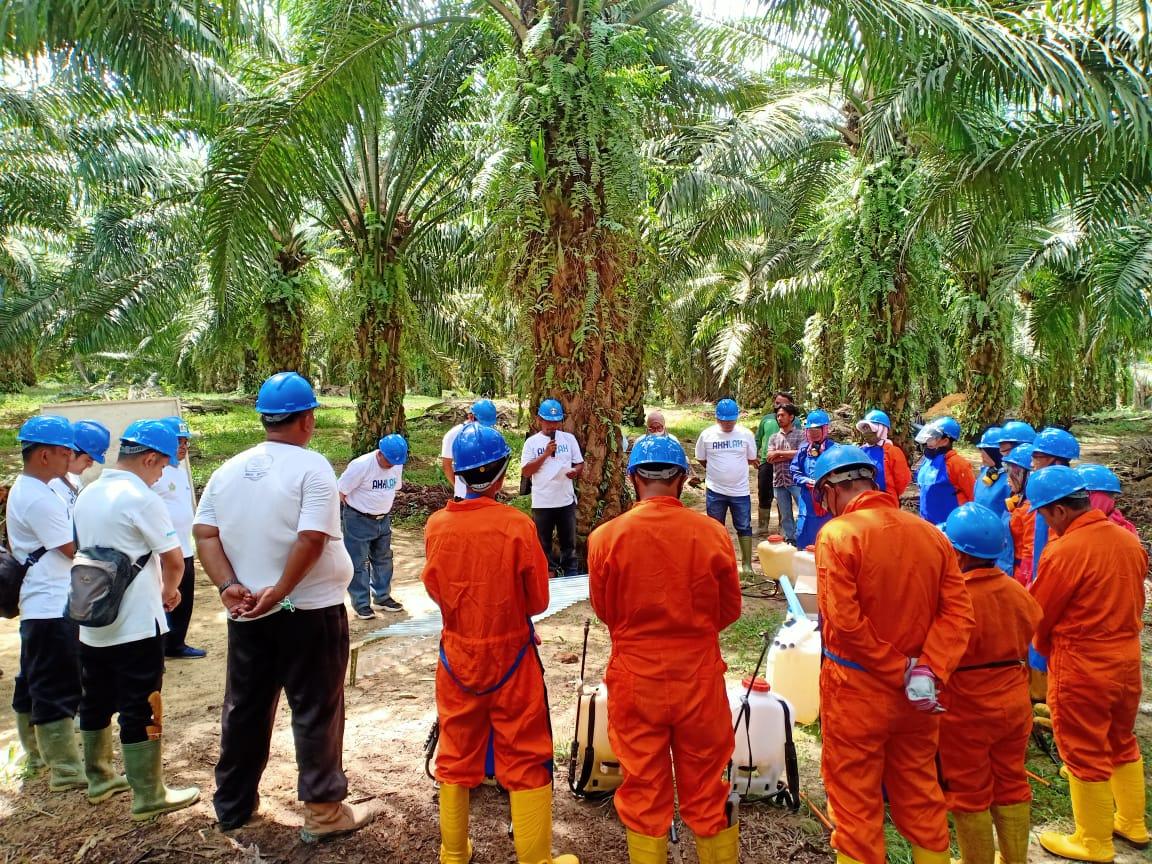 PTPN IV Kebun Sawit Langkat Adakan Sosialisasi Kalibrasi