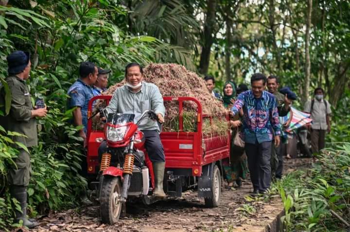 Pemerintah Kota Padang Sidempuan terus mendorong potensi bawang merah kepada para petani