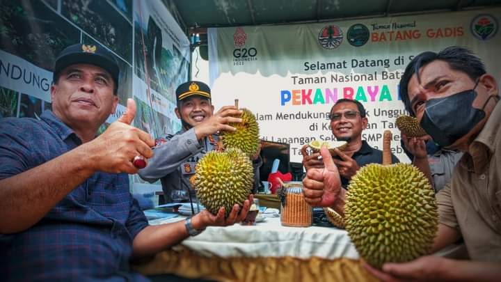 Bupati Madina Buka Pekan Raya Durian di Tambangan