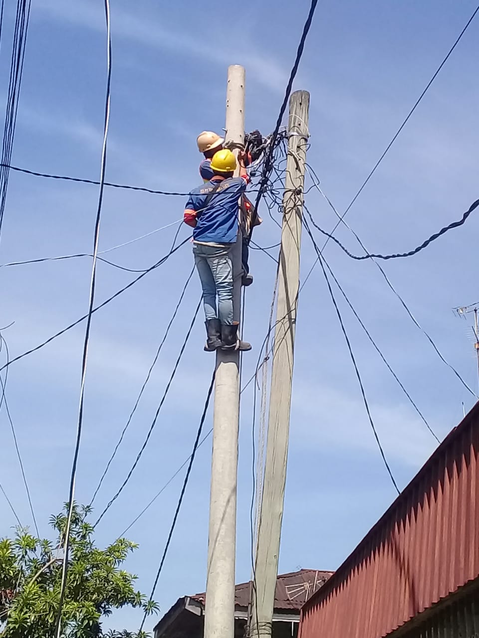 PLN  Harapkan Masyarakat  Melaporkan  Jika Ada Kondisi Tiang dan Jaringan yang Berpotensi Bahaya