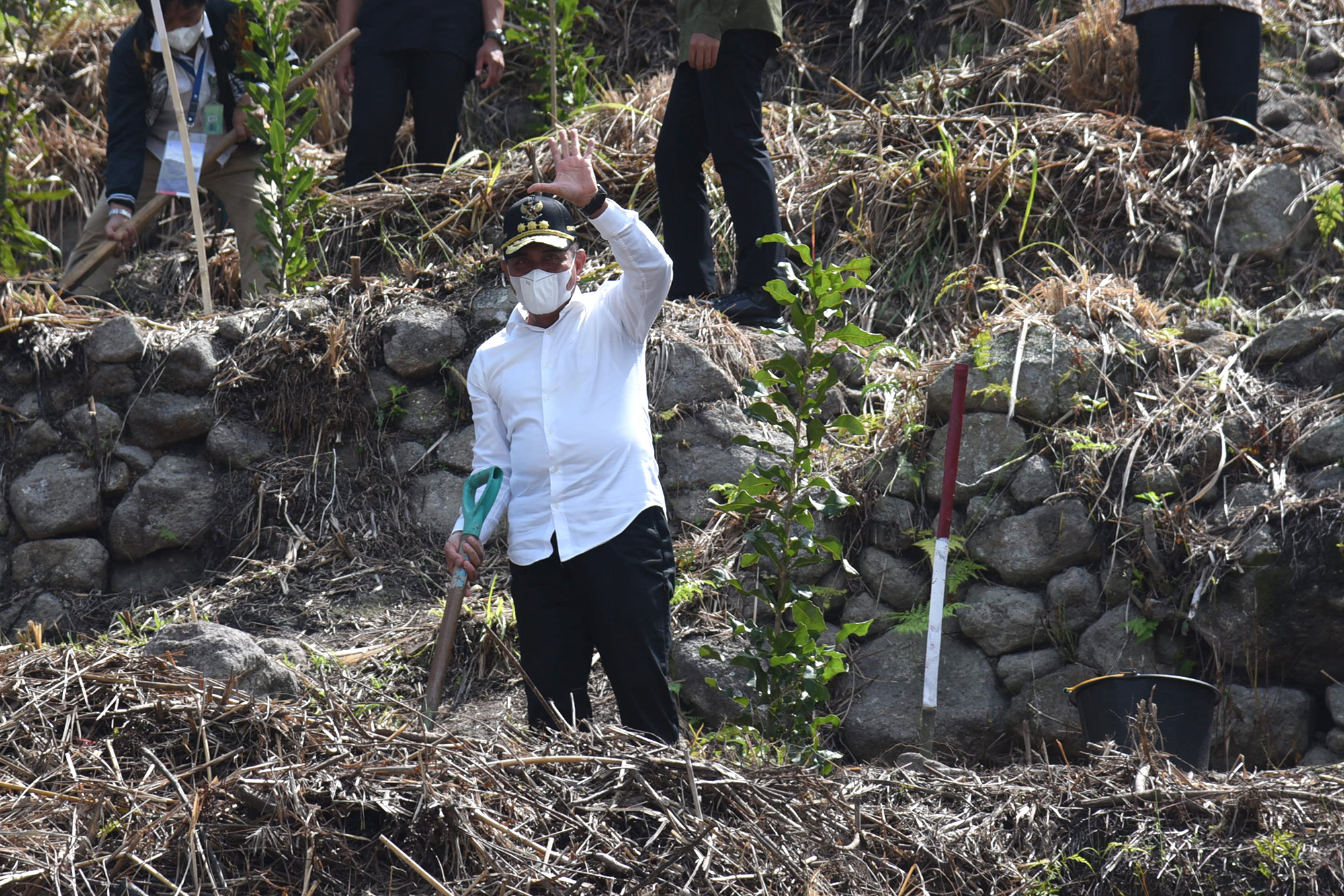 Pemprov Sumut Anggarkan Rp2 M  Pengadaan Benih Macademia untuk Masyarakat
