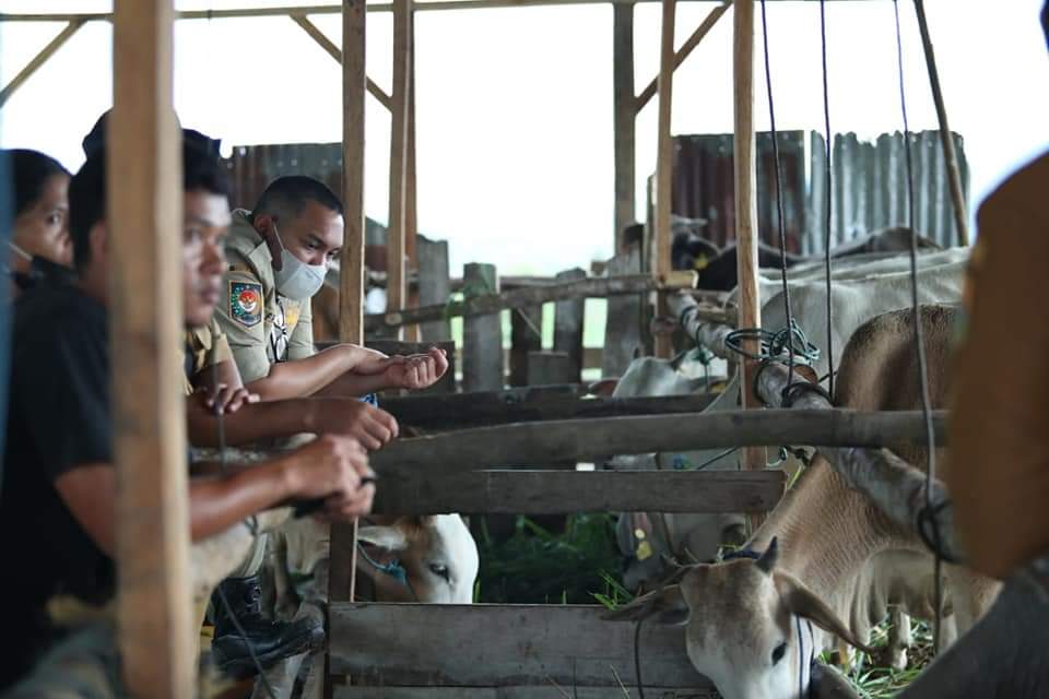 Bupati Pakpak Bharat Tinjau Kelompok Tani 