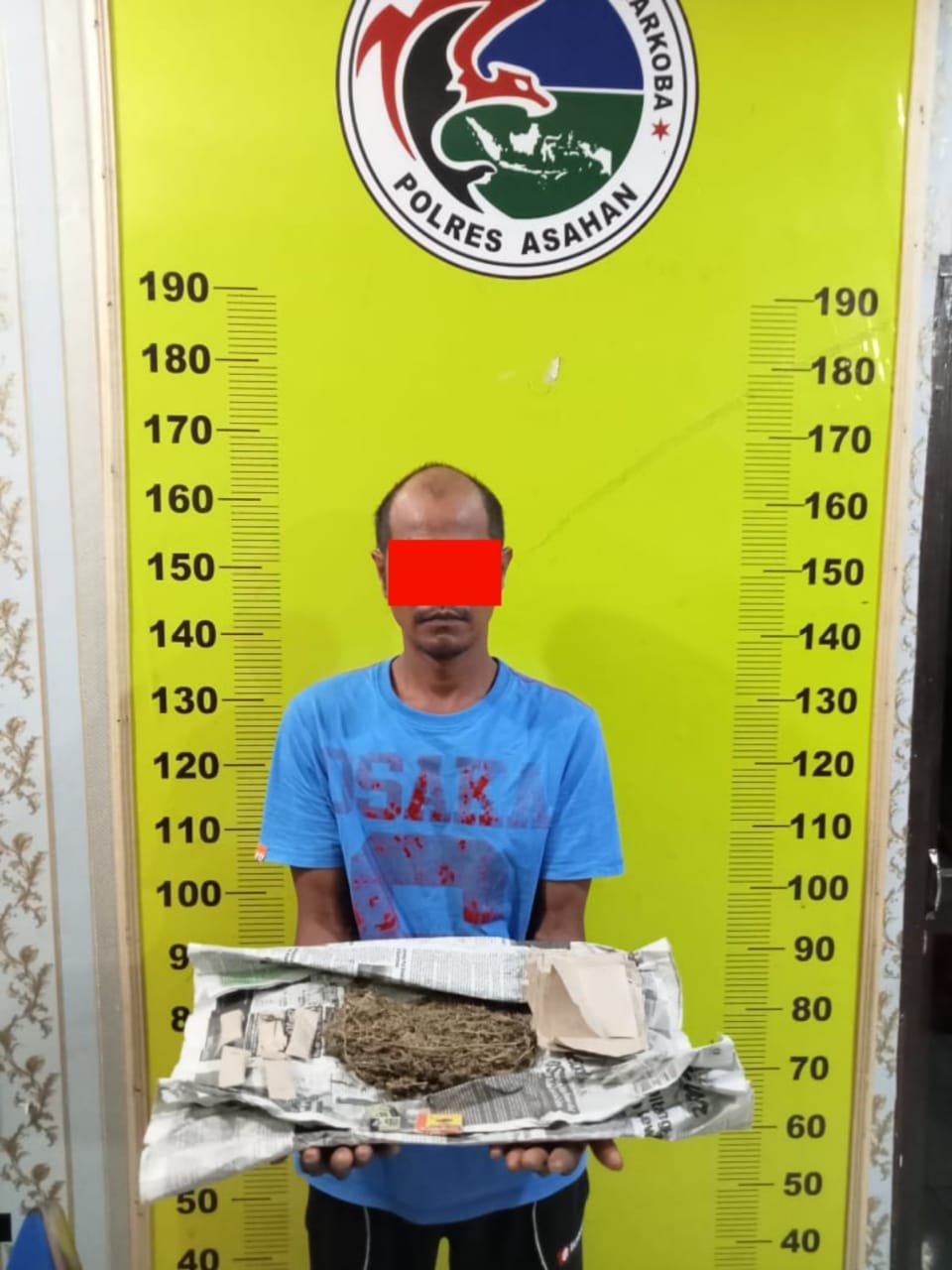 Reskrim Polsek Sei Kepayang Polres Asahan Amankan Pengedar Ganja di Desa Bagan Asahan