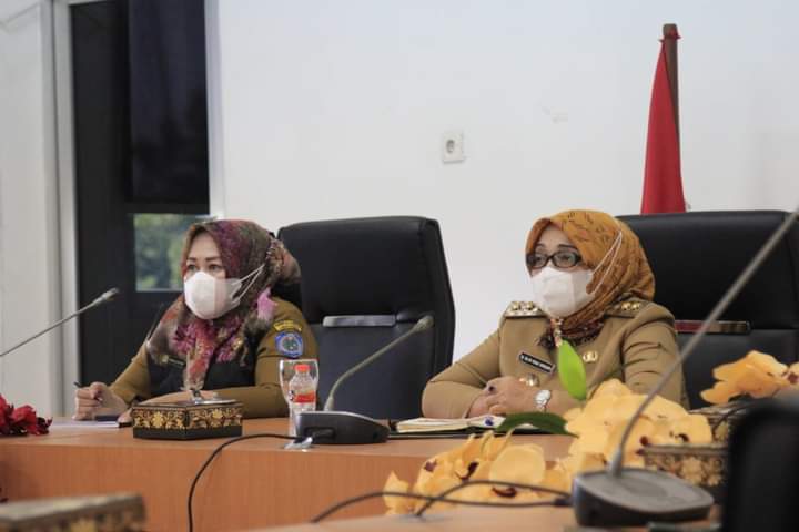 Dihadiri Deputi Perlindungan Anak, Wabup Labuhanbatu Terima Audensi dari DRP2A