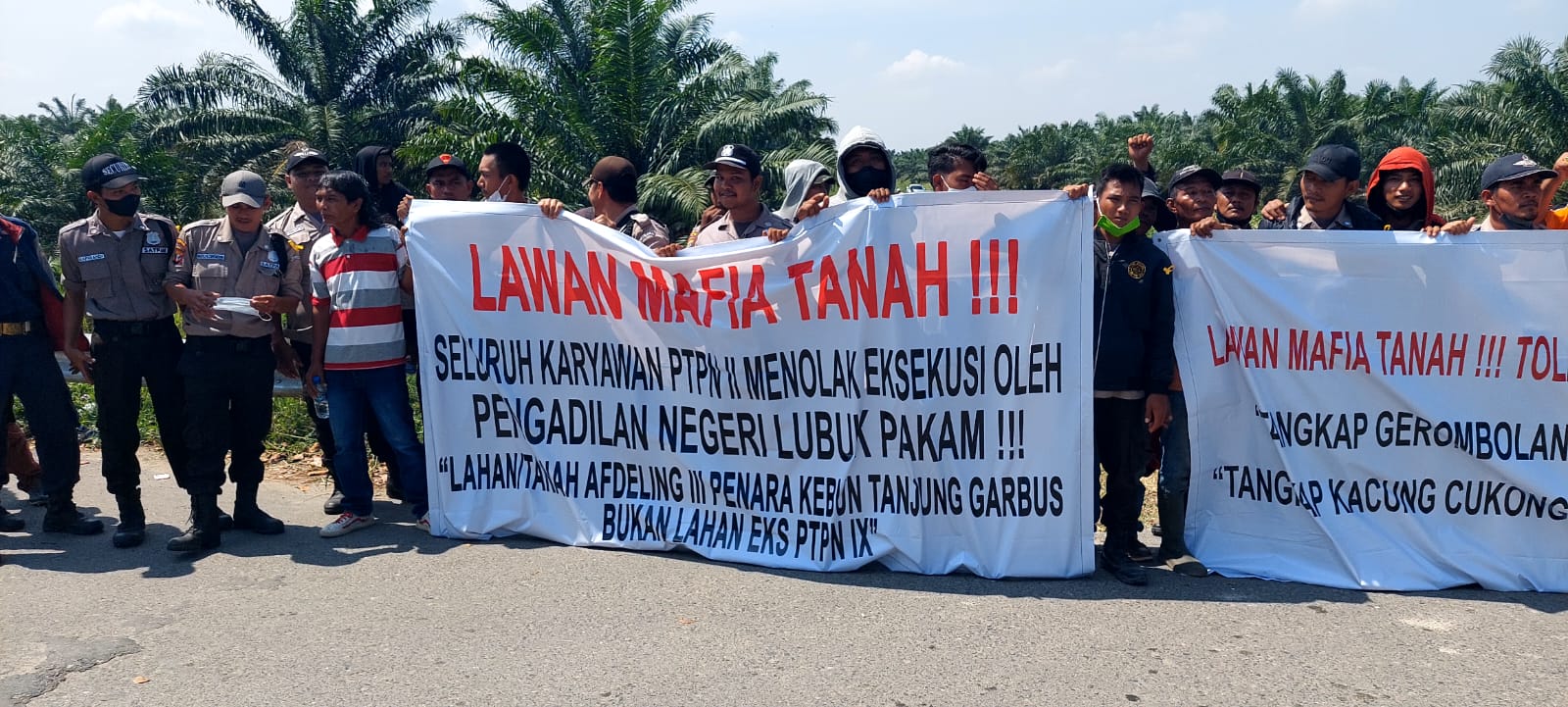 PTPN 2 Pertahankan HGU 62 Penara Kebun Tanjung Garbus