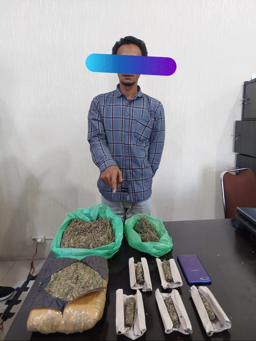 Satnarkoba Polres Karo Amankan Bandar Ganja di Desa Tanjung Merawa.