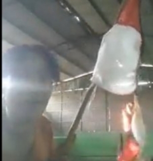 Viral, Wanita Pembakar Bendera Merah Putih Ditangkap,Â  Ini Pekerjaannya
