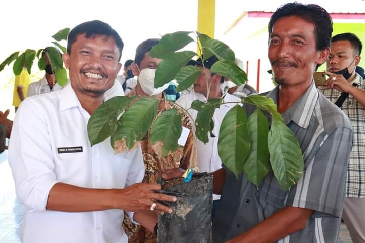 Wabup Toba Serahkan Bantuan Bibit Pohon kepada Masyarakat Kaldera Toba