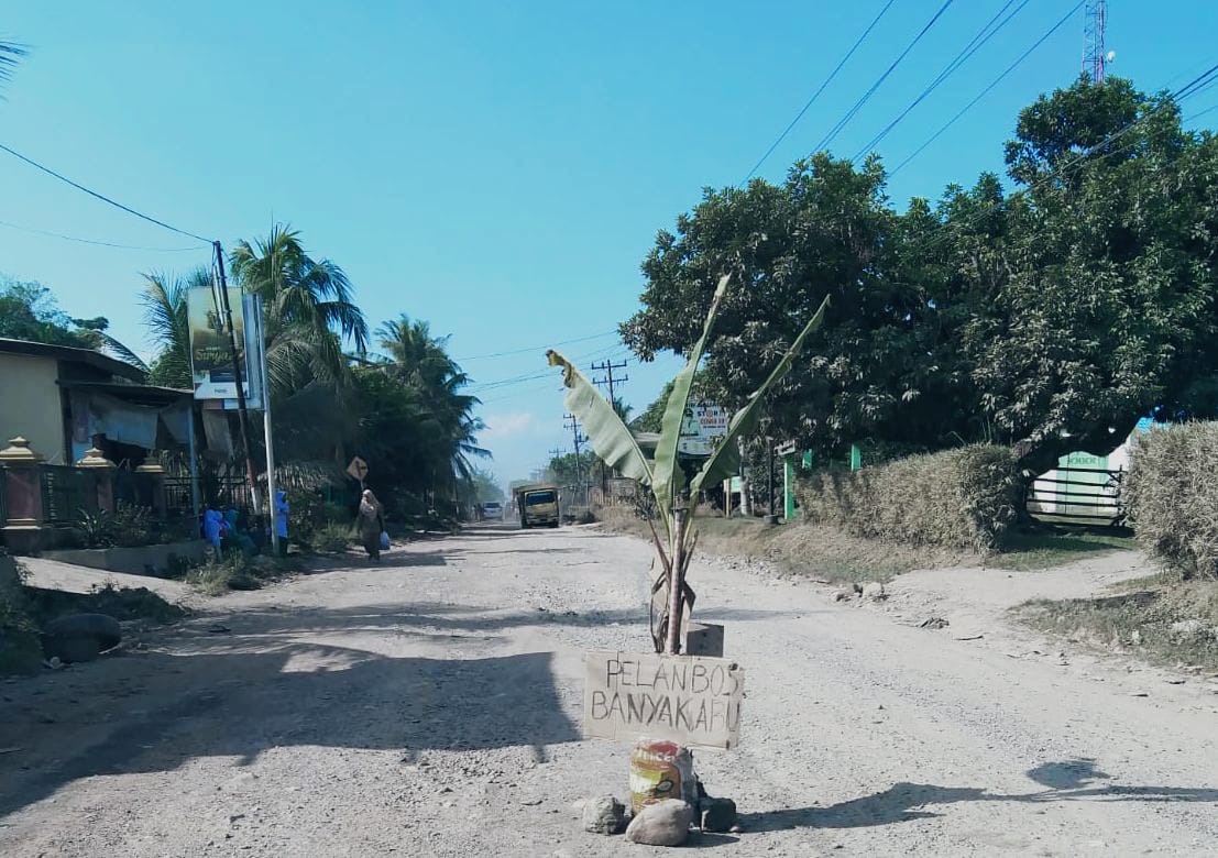 Tak Kunjung Diperbaiki, Masyarakat Pangkatan Tanam Pohon Pisang di Jalan Lintas Sumut