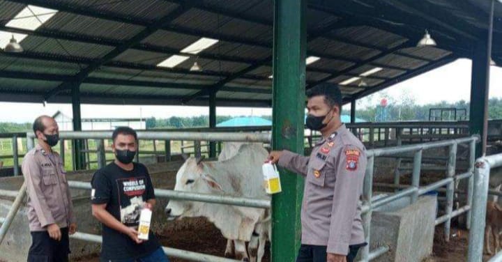Polres Padang Lawas Lakukan Pengecekan Ternak