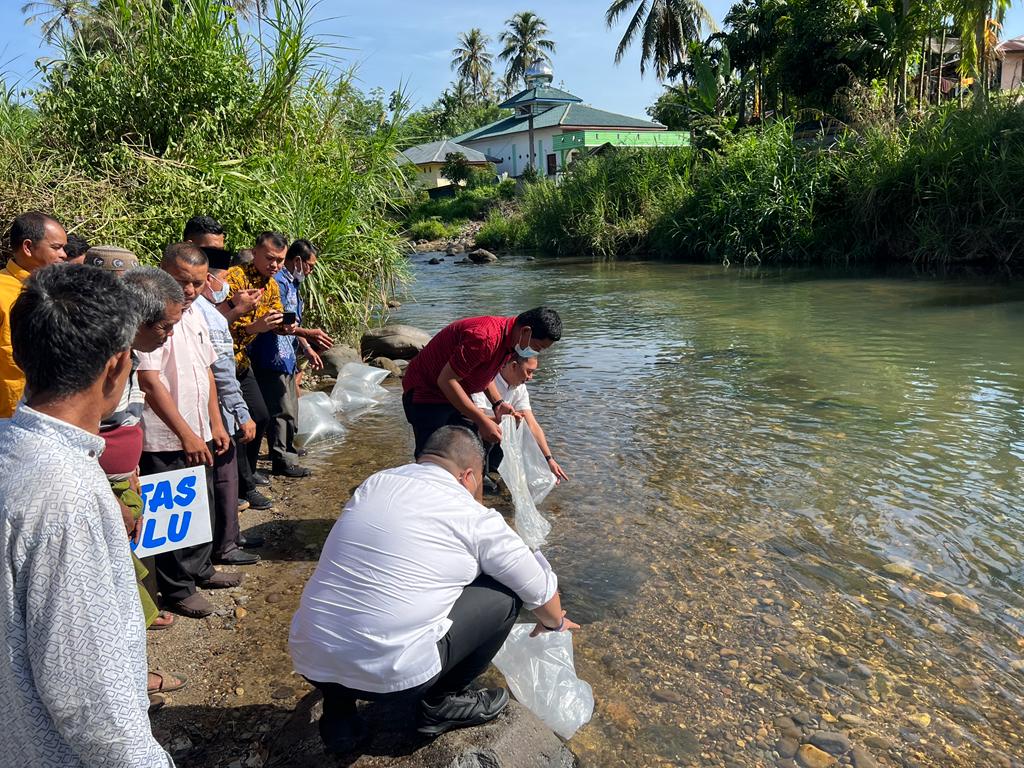 Bupati Tapsel Lepas Ribuan Benih Ikan Di Sungai Batang Tura