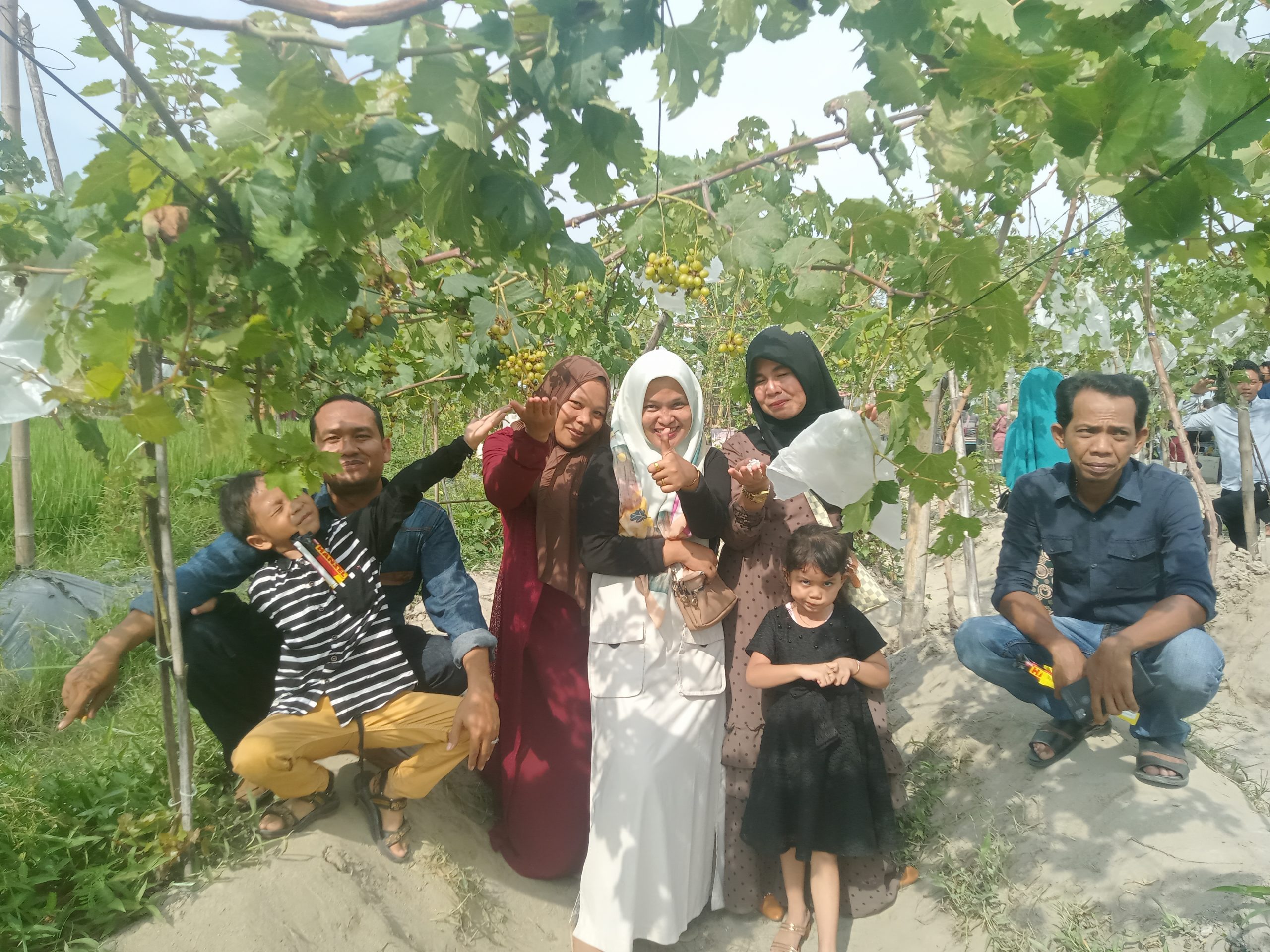 Hari Libur, Kebun Anggur Viral di Sidaurip Diserbu Masyarakat